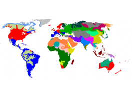 wereldkaart met talengroepen in verschillende kleuren